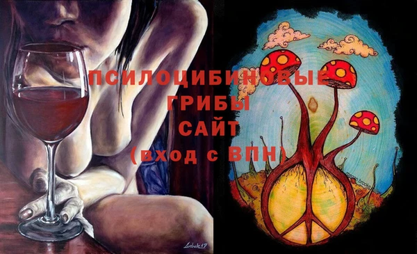 MESCALINE Аркадак