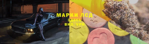 кокс Арсеньев