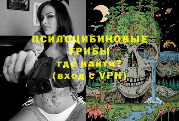 кокс Арсеньев