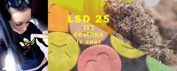 MESCALINE Аркадак