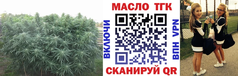 ТГК гашишное масло  Ноябрьск 