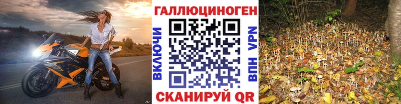 Галлюциногенные грибы Cubensis  нарко площадка клад  Ноябрьск 